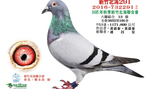 春苗的功效网 - 春苗是什么菜,春的功效与作用